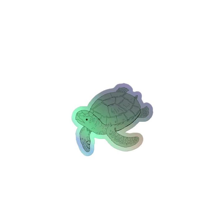 Turtle product image (1)