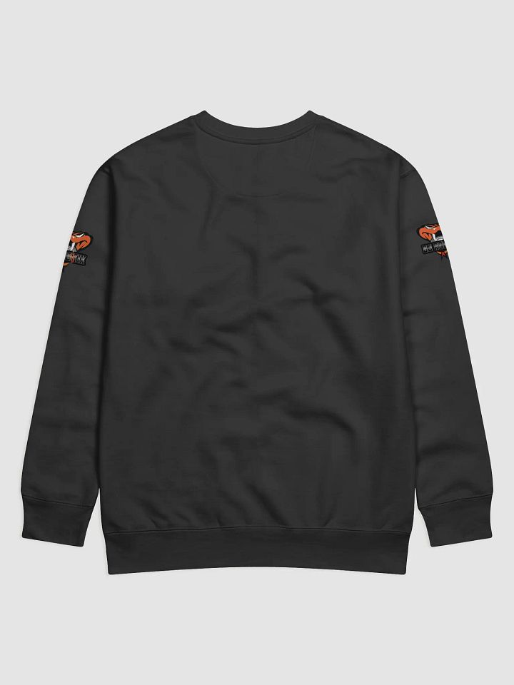Robstix Radio Jumper product image (14)