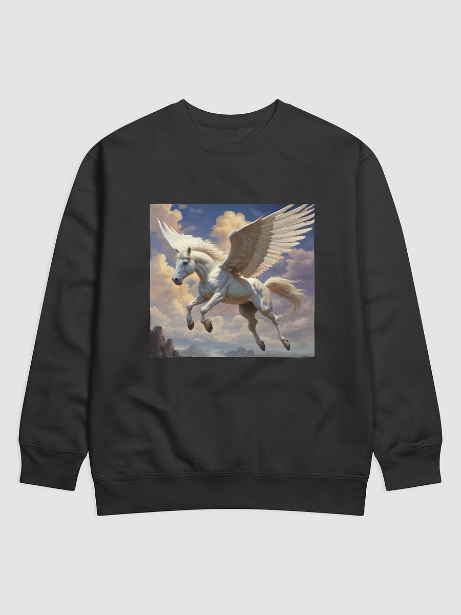 Pegasus product image (1)