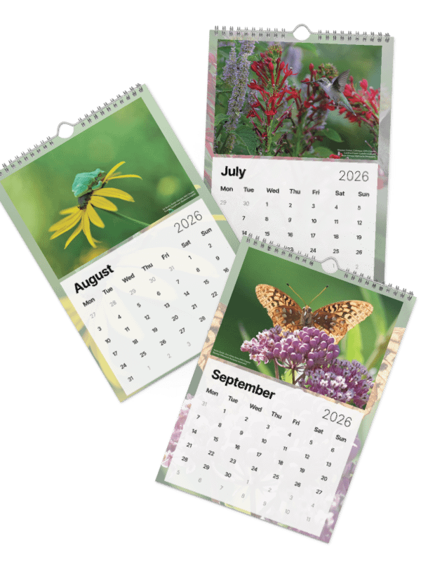 2026 Wall Calendar product image (4)