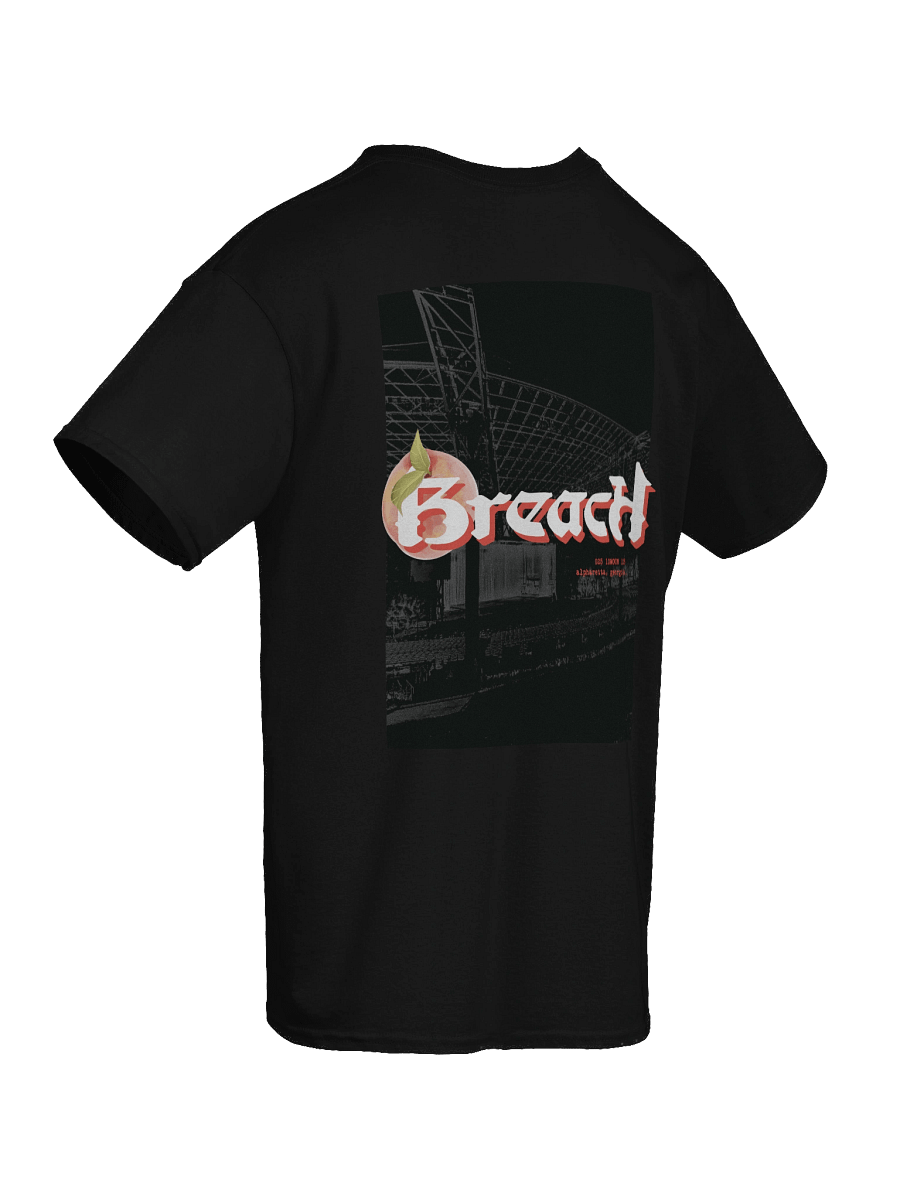 Breach Alpharetta Peach Tee (Dark) product image (4)