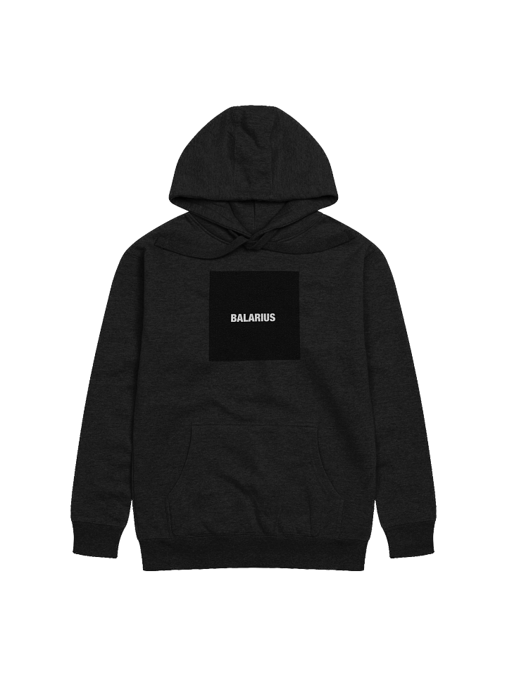 BALARIUS HOODIE product image (1)