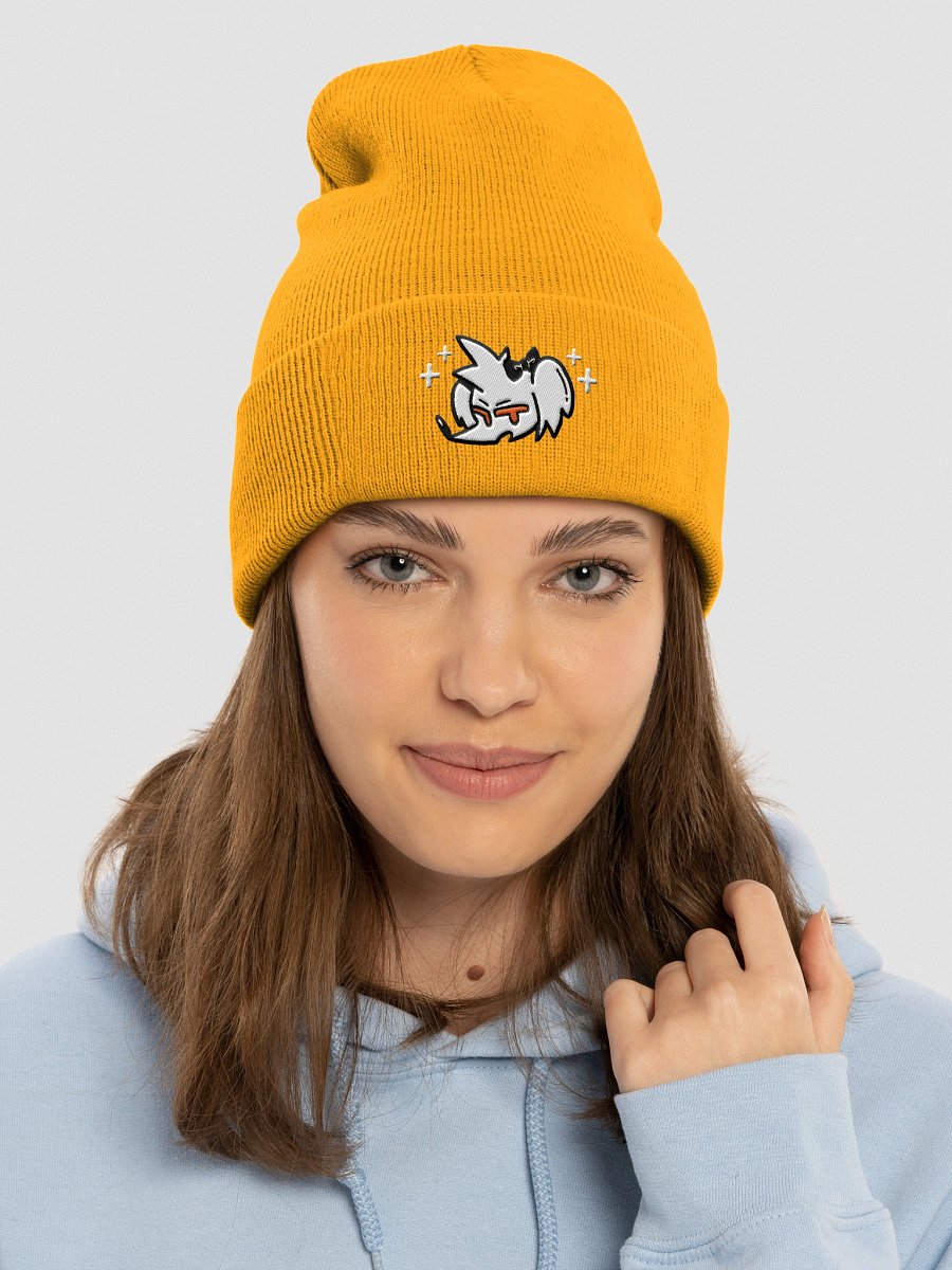 ROBDOG LOGO BEANIE product image (3)