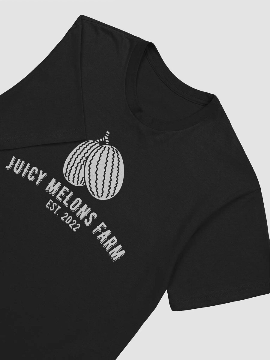 Juicy Melons Farm Oversized Tee product image (18)