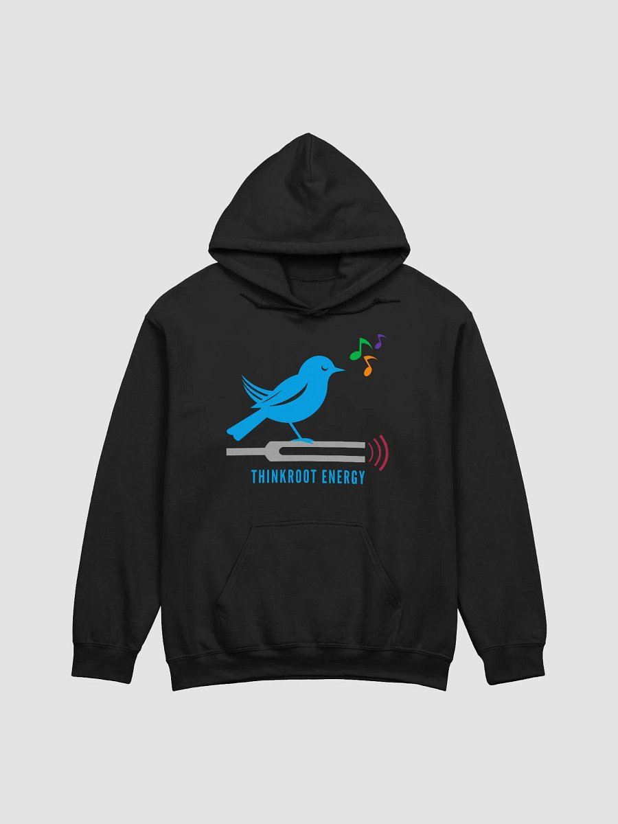 Birdsong + Tuning Forks Hoodie product image (2)
