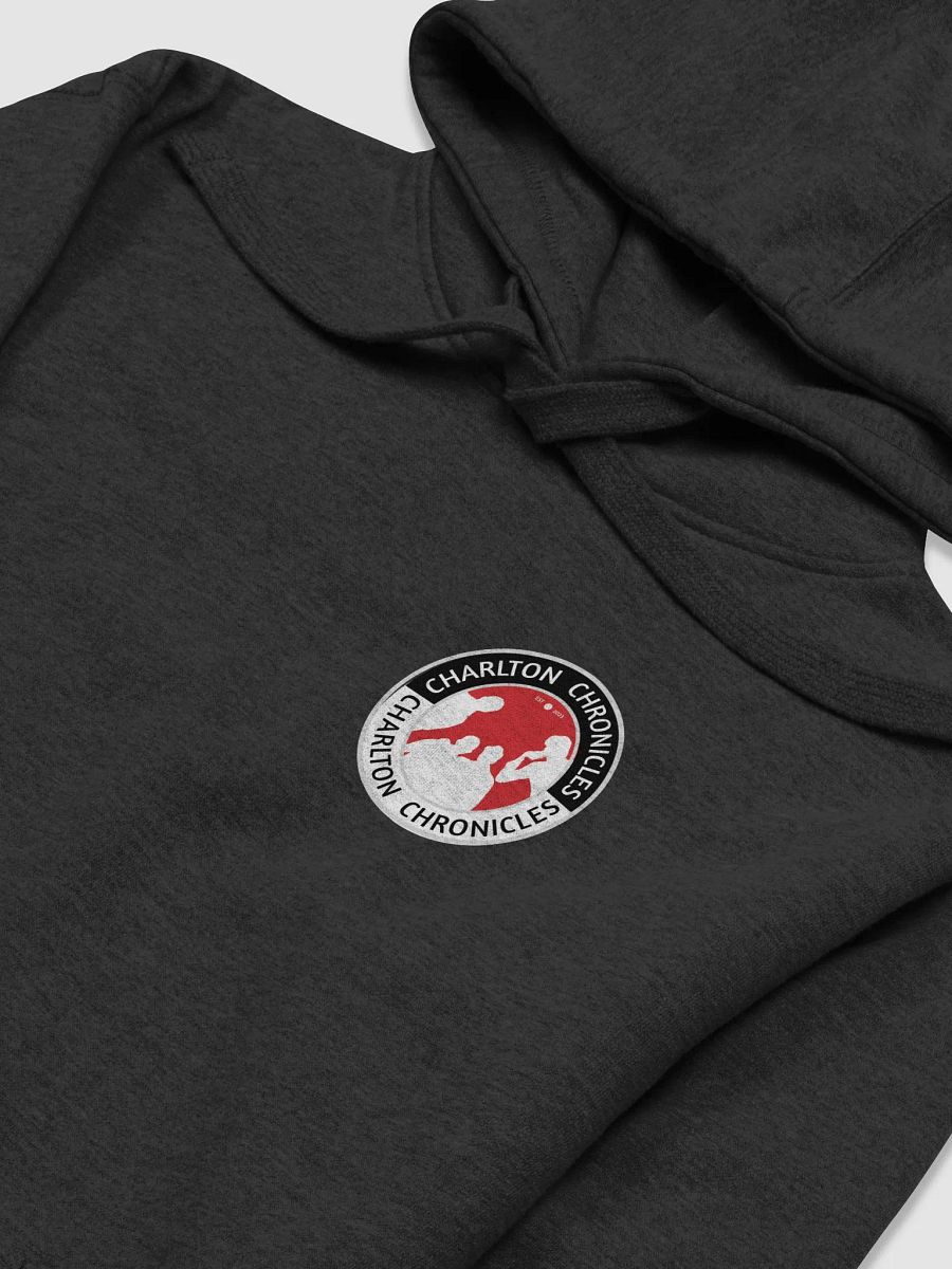 The Charlton Chronicles Jumper product image (12)