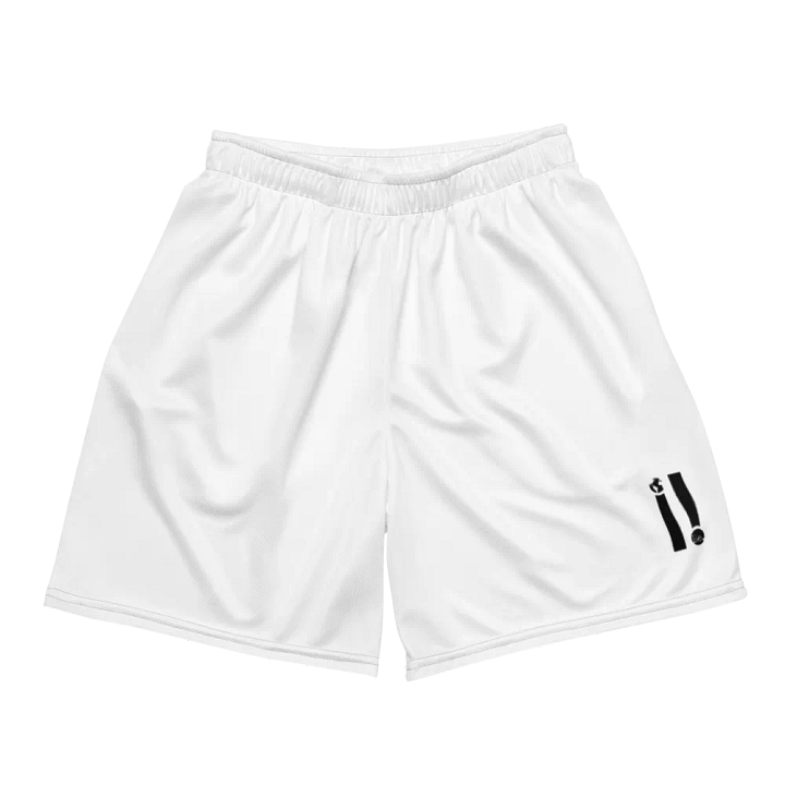 Just Be Simple Mesh Shorts product image (1)