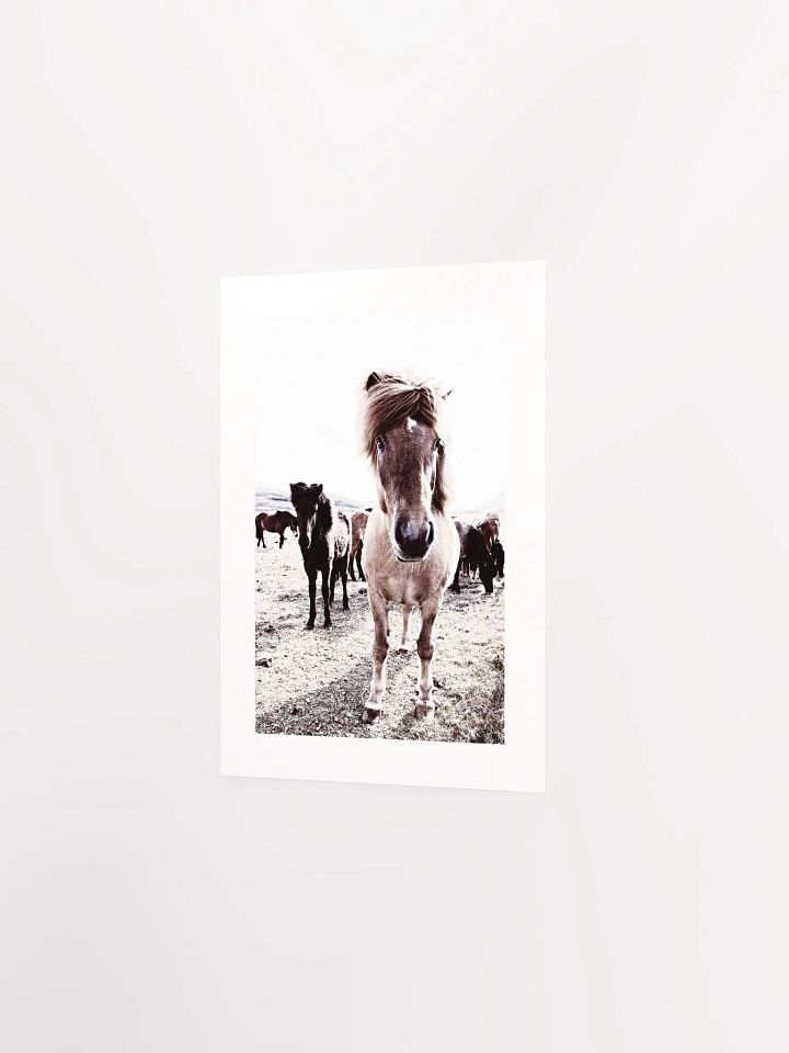 Iceland Horses Passepartout Print product image (14)