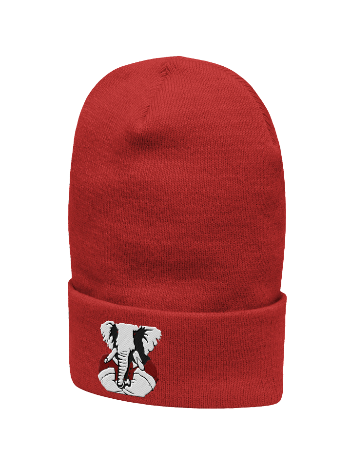 Conservative Resurgence Beanie product image (2)
