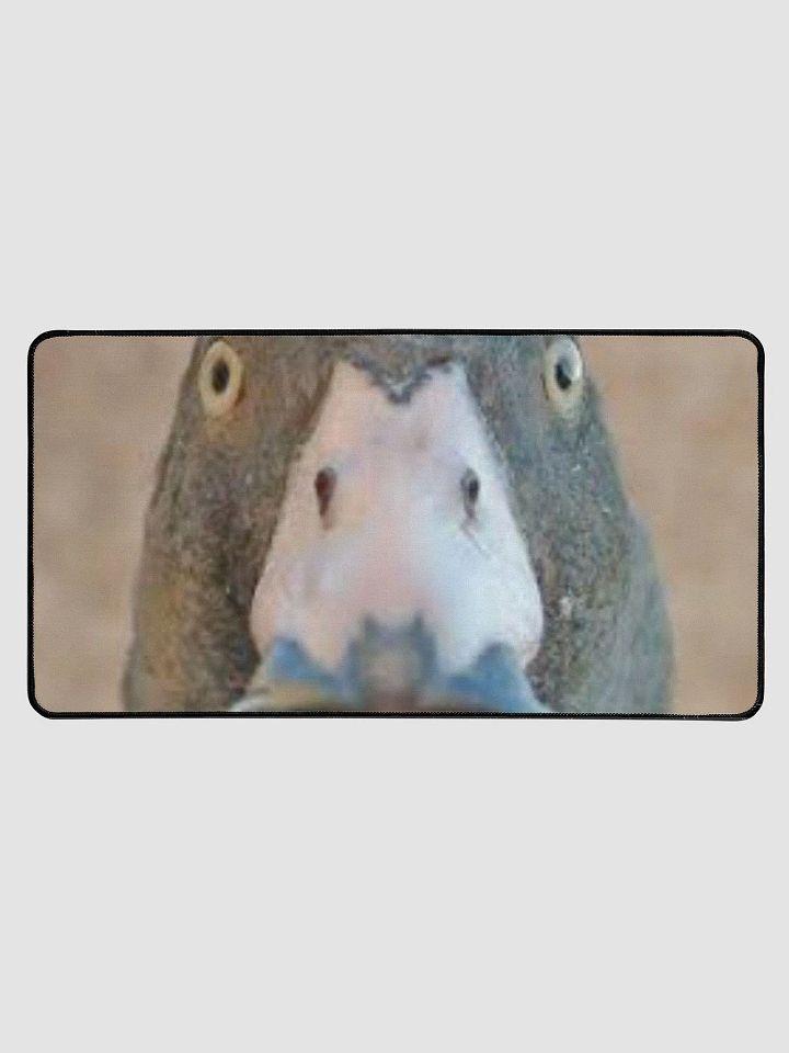 Duck Stare product image (1)