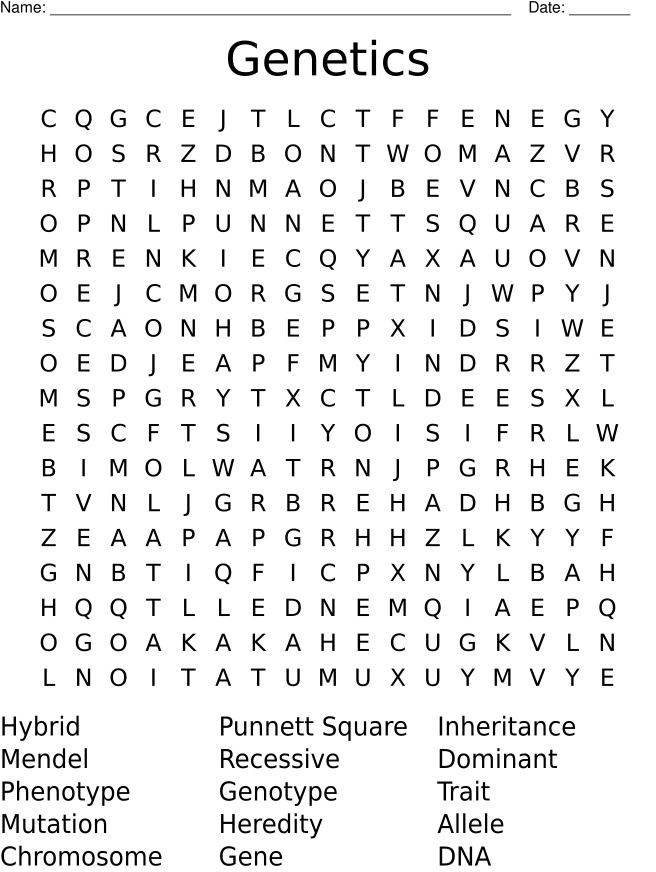 Genetics Word Search - Key Vocabulary for Biology product image (2)