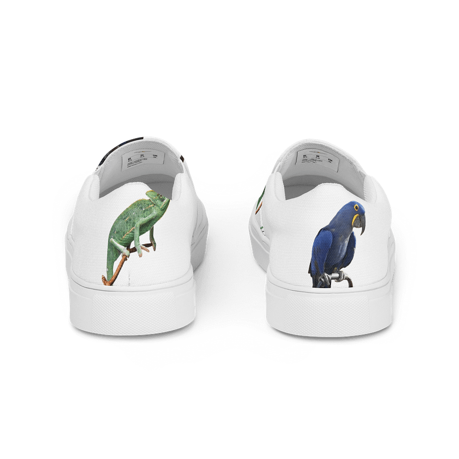 chameleon and makaw shoes product image (4)