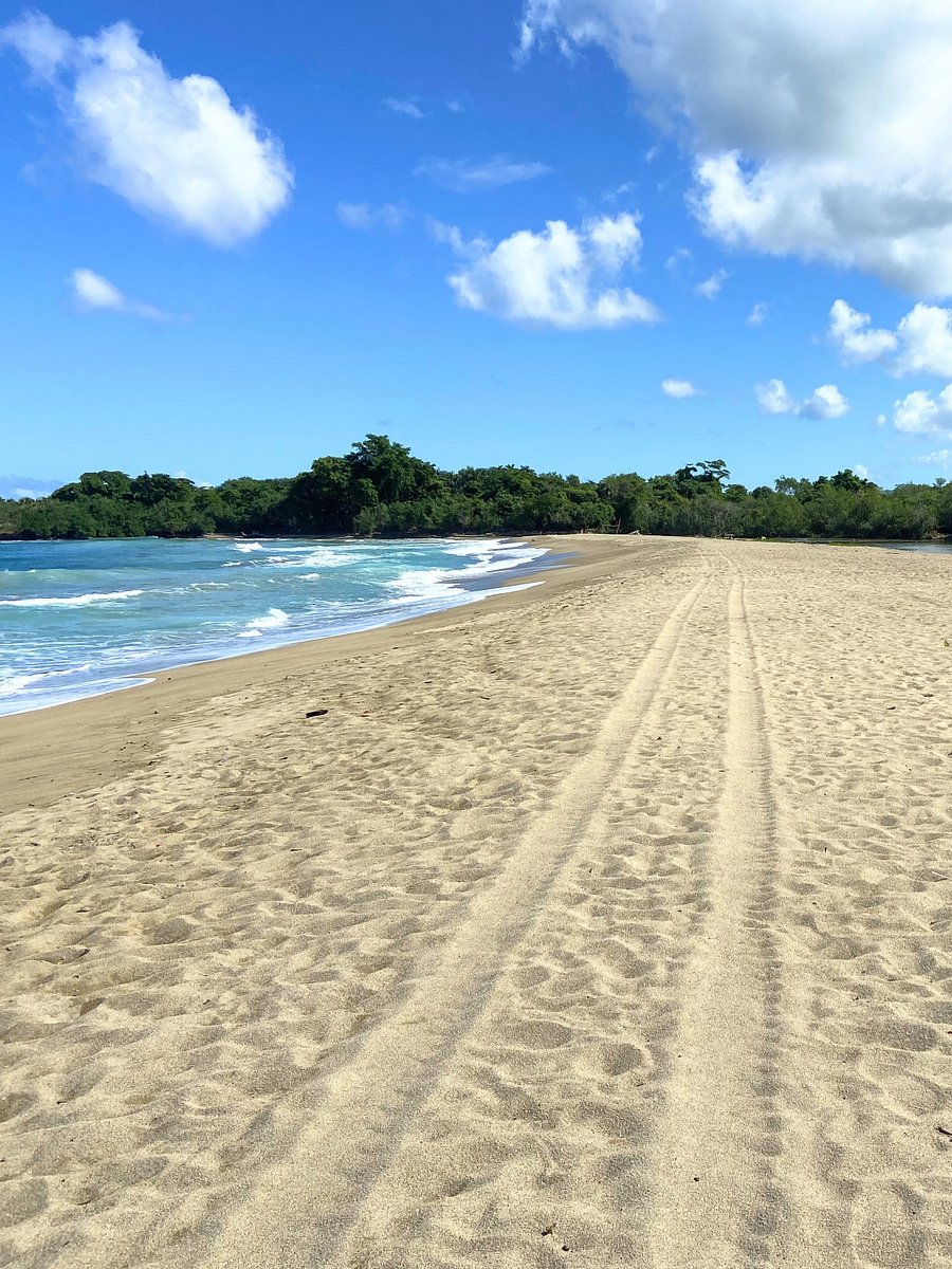 CANGREJO, PUERTO PLATA product image (3)