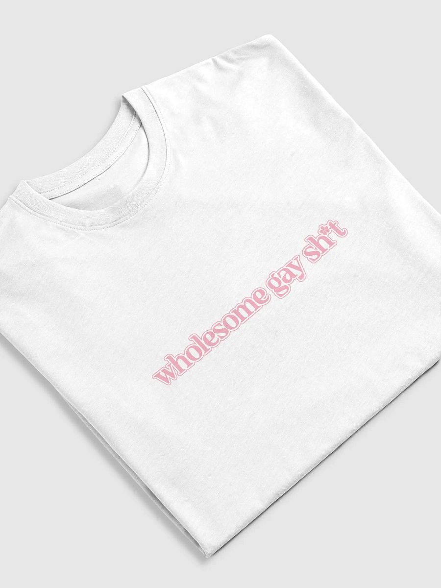 Wholesome Gay T product image (5)