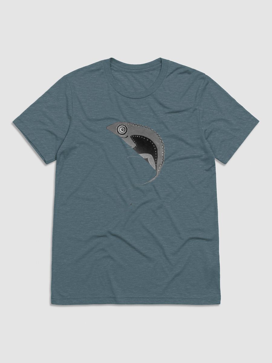 Chameleon Dreams - Tri-Blend Tee product image (6)