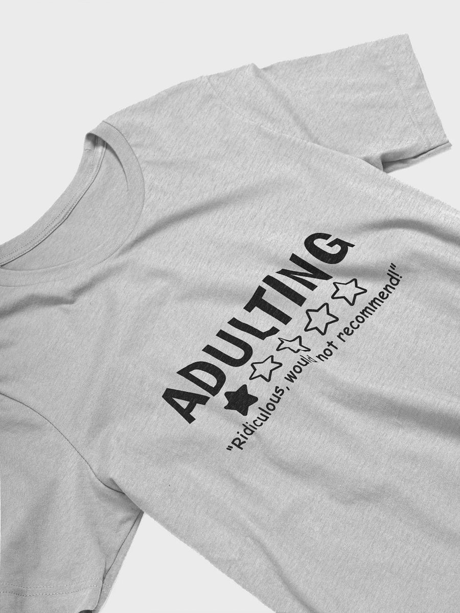 adulting product image (32)