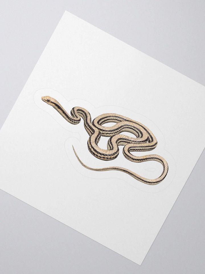 Die-Cut Sticker – Desert Patchnosed Snake product image (2)