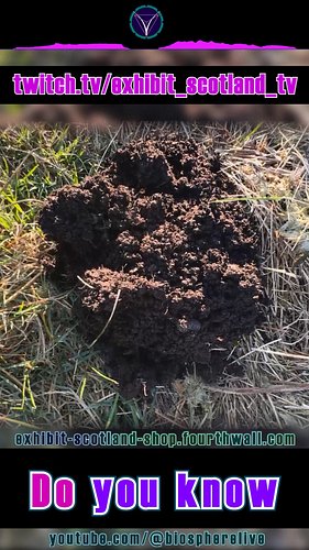 info...

Sign up to a membership subscription, get access to Exhibit Scotland products and merchandise https://exhibit-scotla...