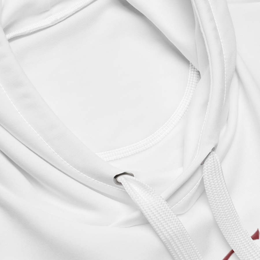 Man All-Over Print Recycled Unisex Hoodie Emirates Puma Logo product image (2)