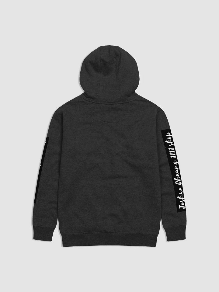 JC not gay hoodie product image (2)