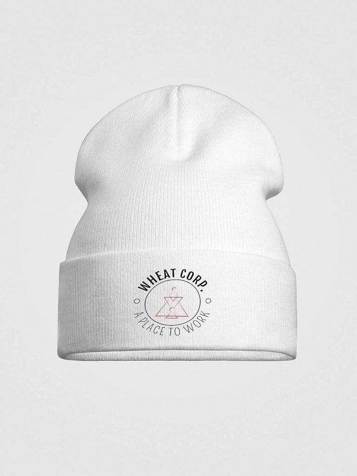 Generic Beanie product image (2)