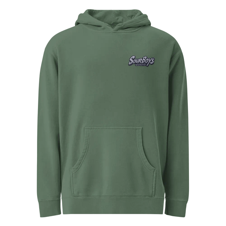 SBI Hoodie product image (2)