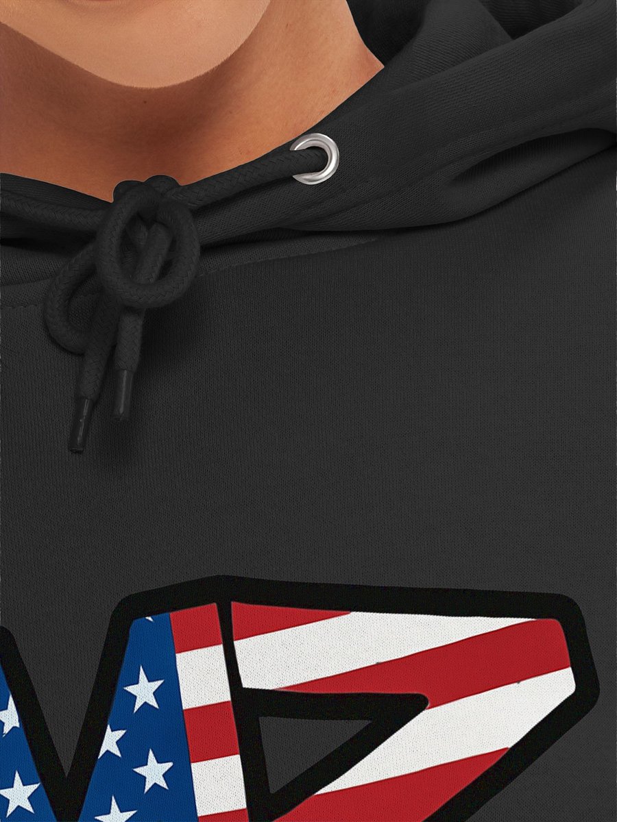 Lane Seven Mike's Bags Logo Patriotic Premium Hoodie product image (7)