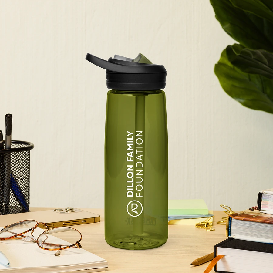 Dillon Family Foundation Water Bottle product image (17)