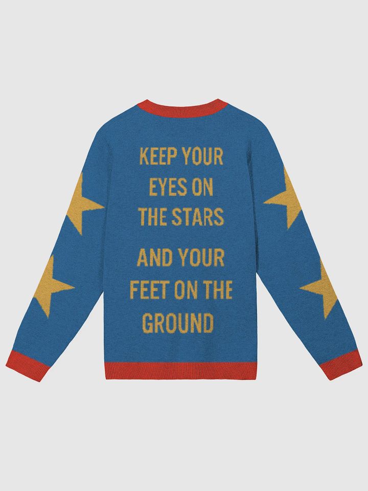 Bull Moose Party Sweater product image (8)