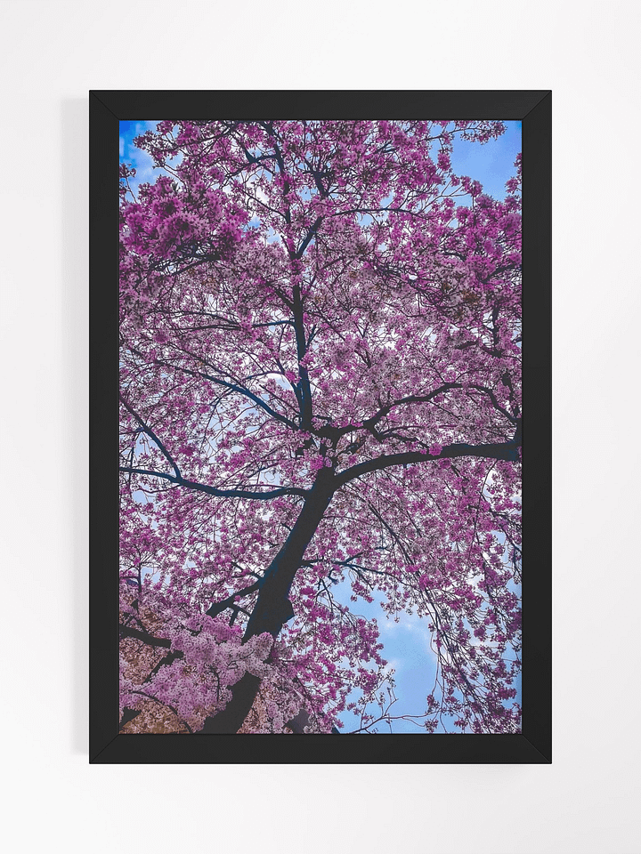 Blush In Bloom (FRAMED) product image (1)