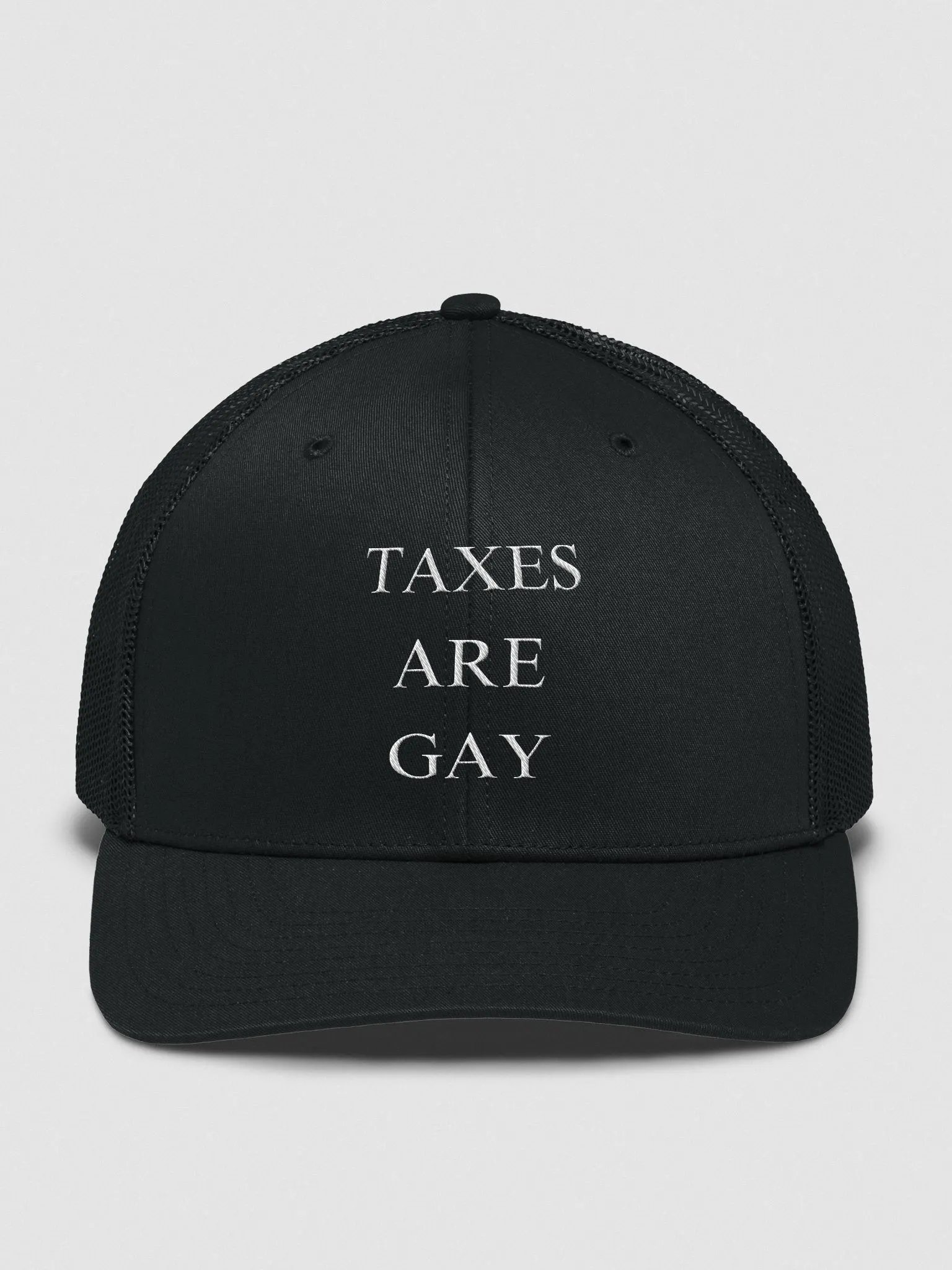 Taxes Are Gay Hat product image (2)
