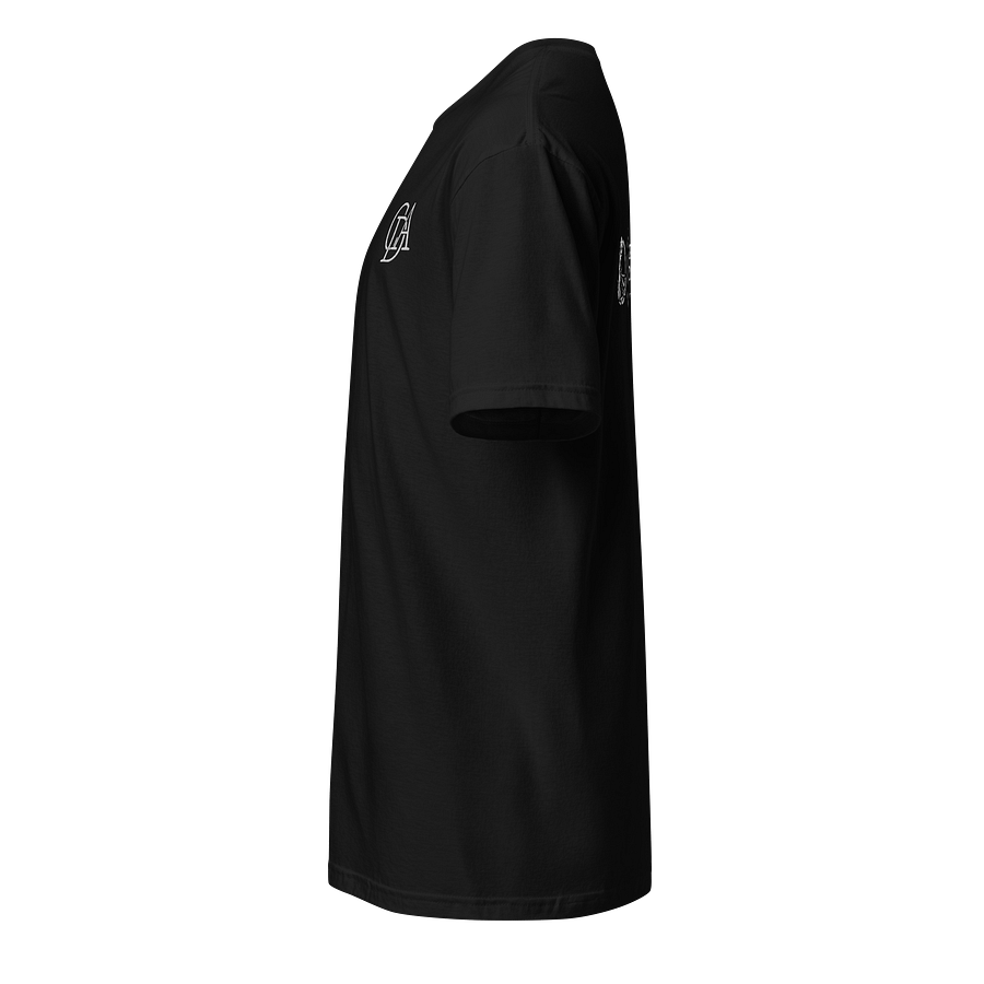 Adult T-shirt product image (3)