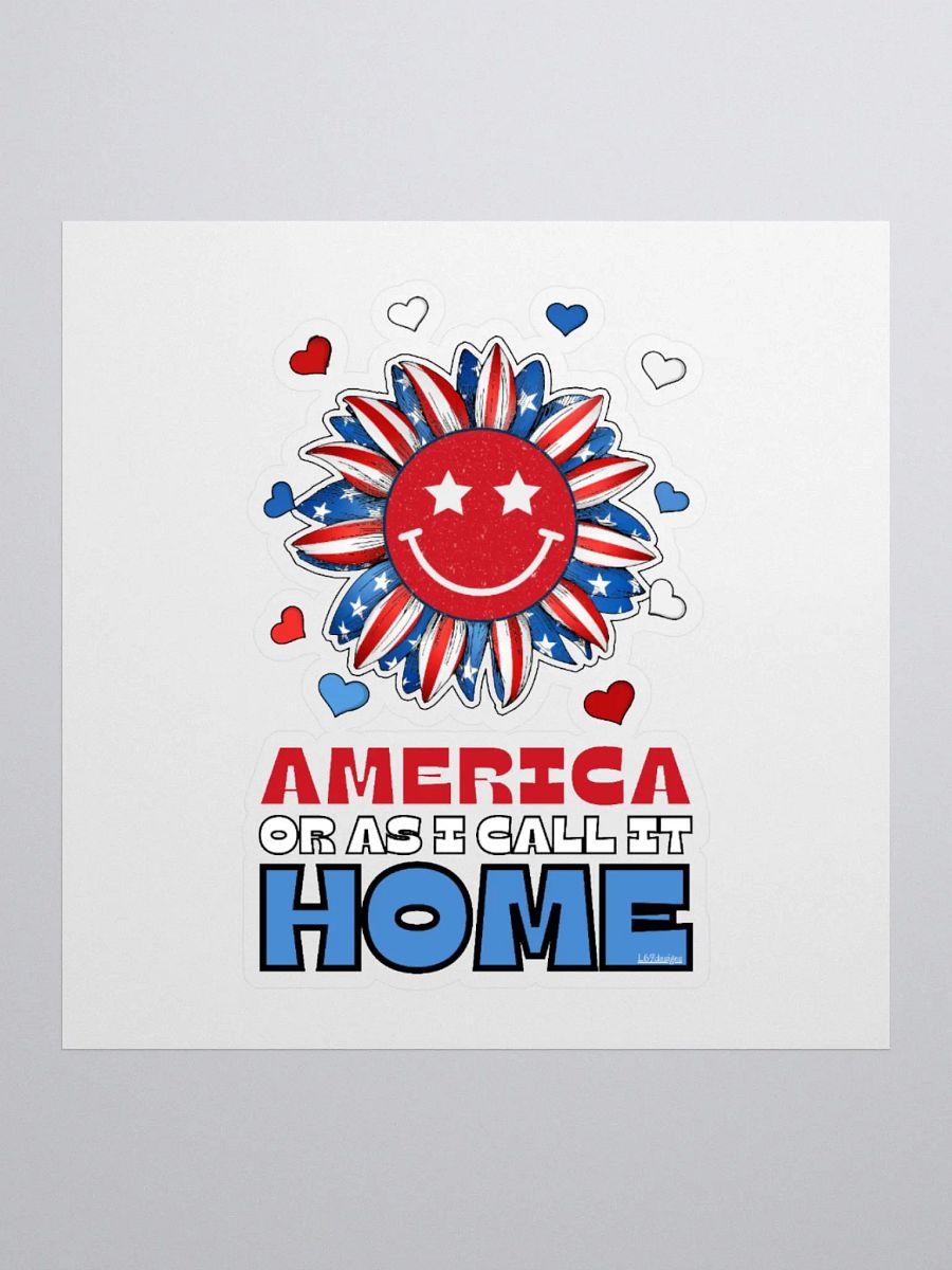 AMERICA OR AS I CALL IT HOME product image (3)