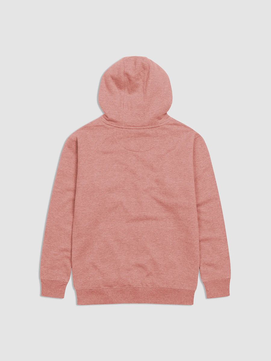 Cozy Vibes Hoodie product image (3)
