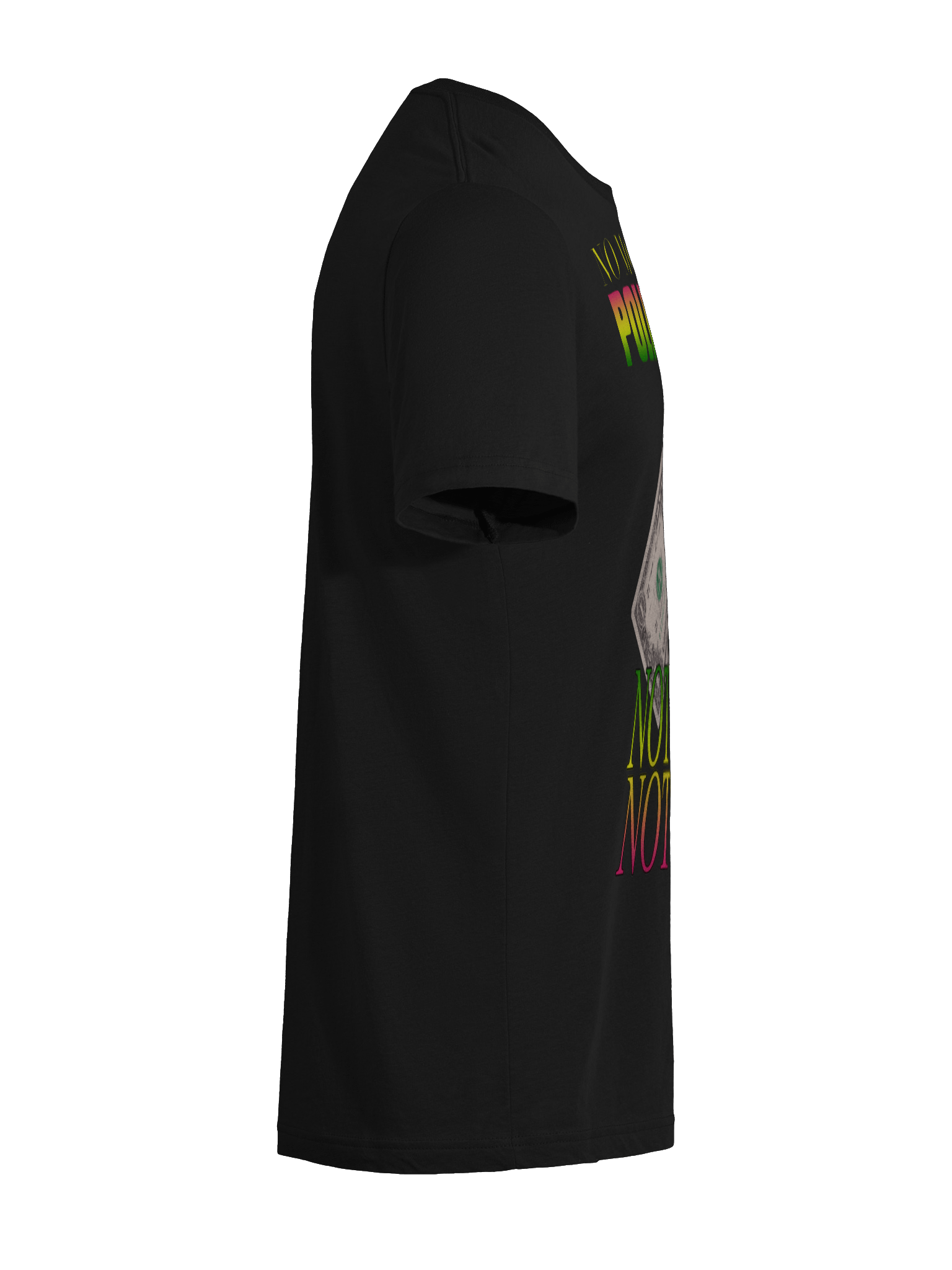 NO MONEY FOR POLITICIANS "TRI BLEND" product image (46)