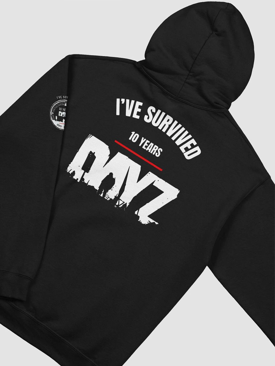 DAYZ Anniversary Hoodie product image (4)