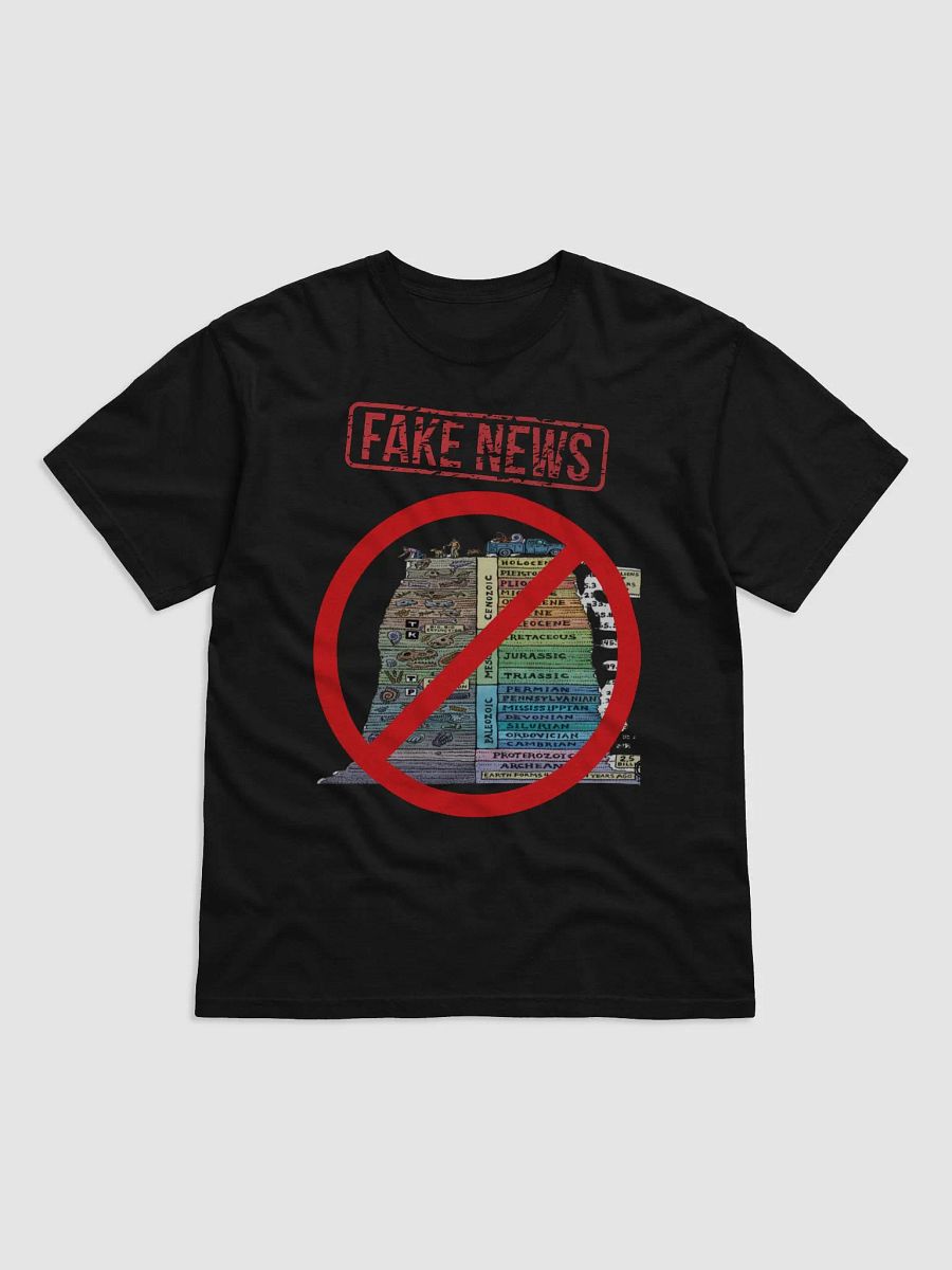 FAKE NEWS product image (1)