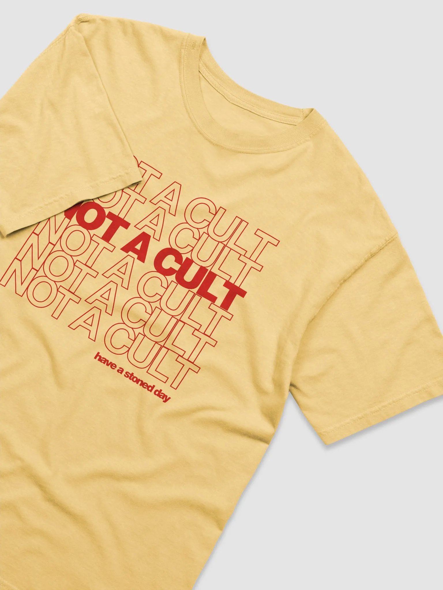 Not a Cult T-Shirt product image (3)