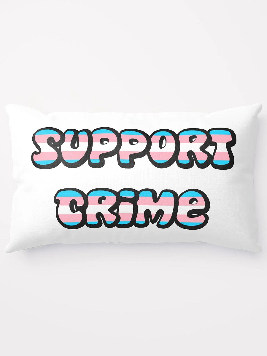 Trans Crime Decorative Pillow product image (5)