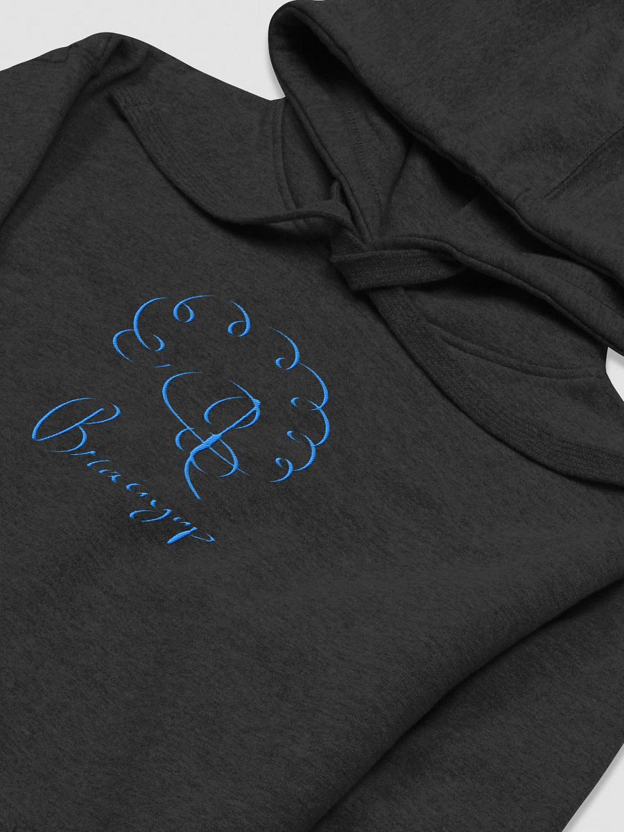 EMBROIDERED SIGNATURE HOODIE (Blue Signature) product image (11)