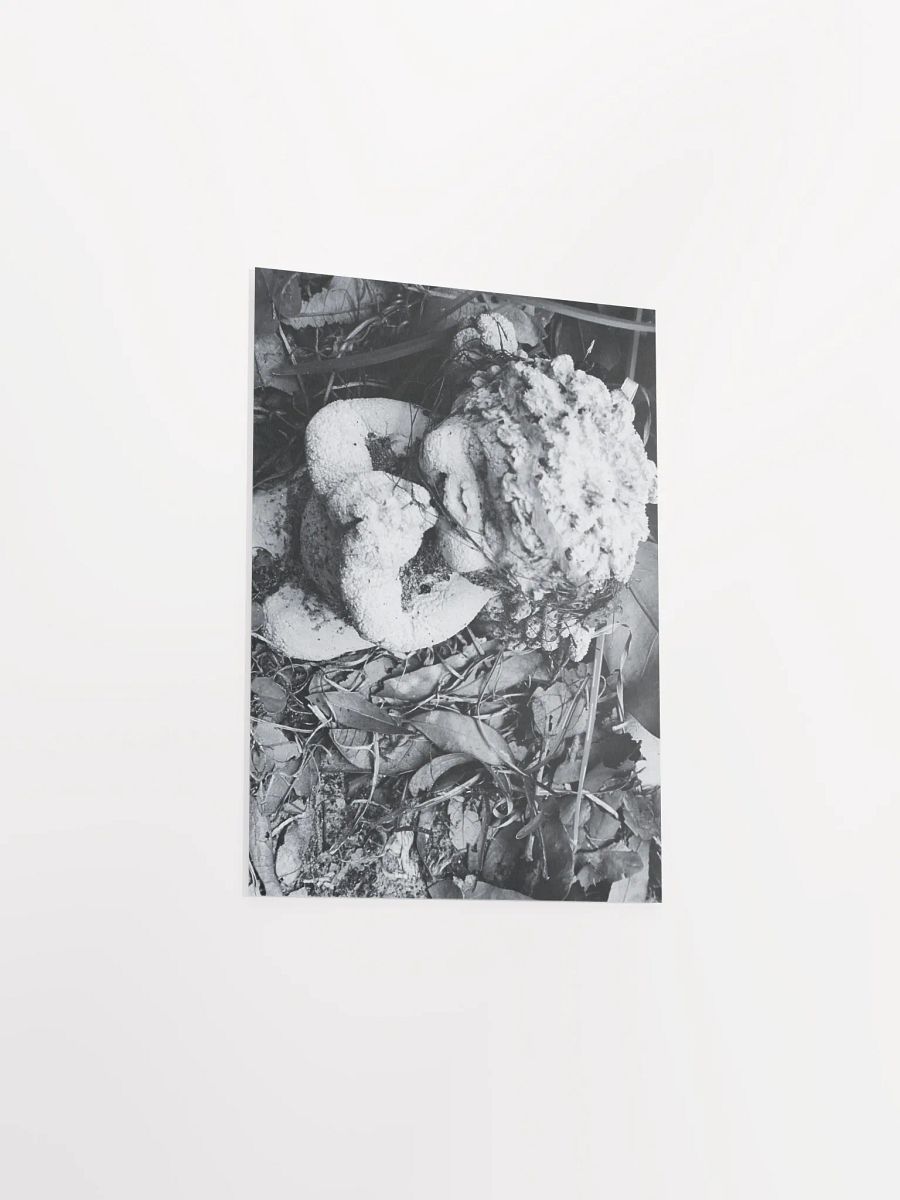 Angel of Decay product image (27)