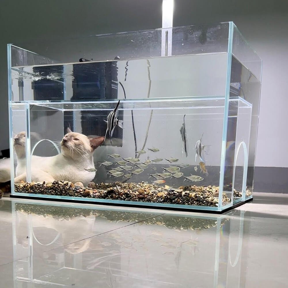 Internal Tunnel Cat Aquarium product image (2)