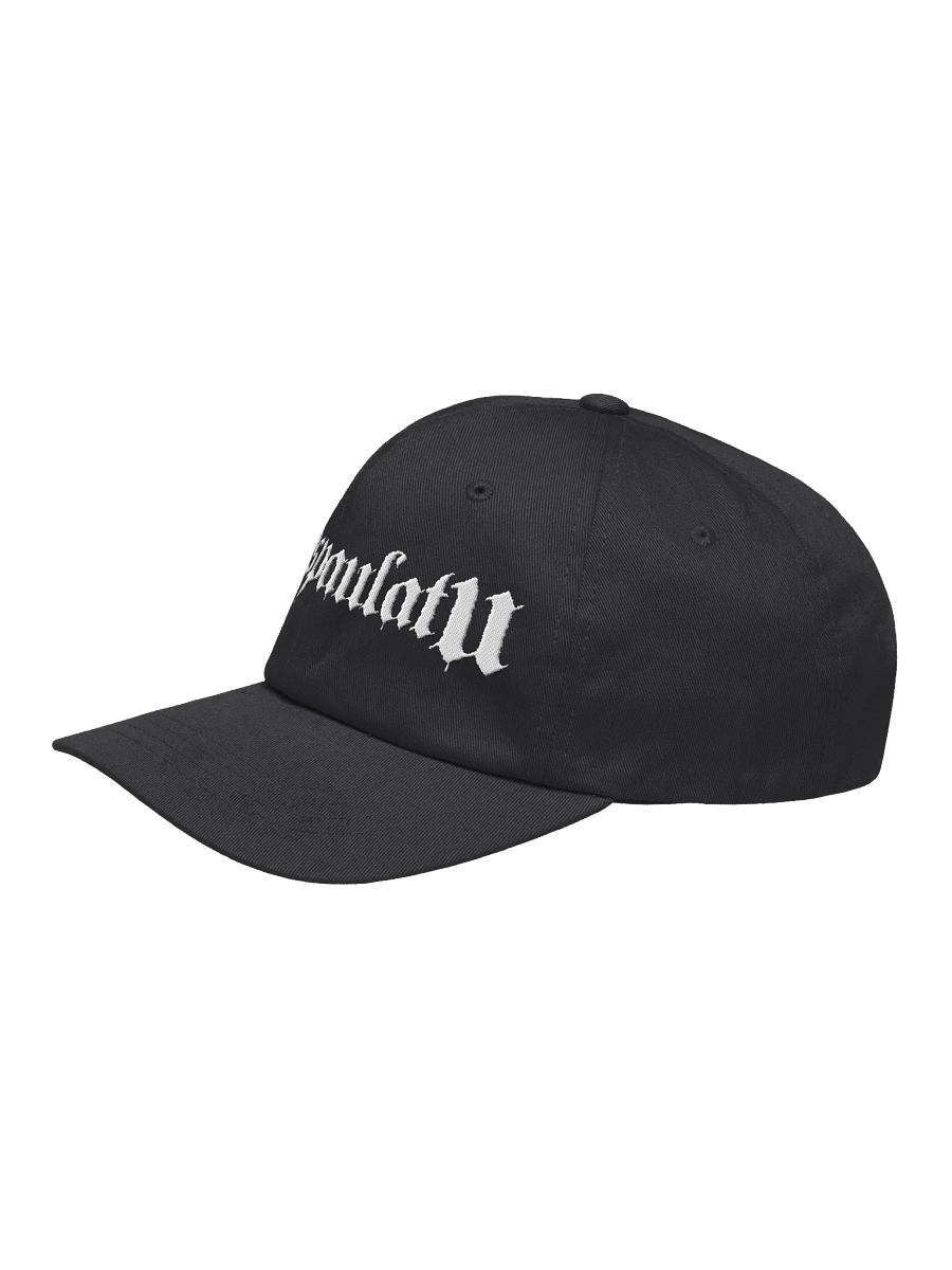 Embroidered White Logo Dad Hat product image (25)