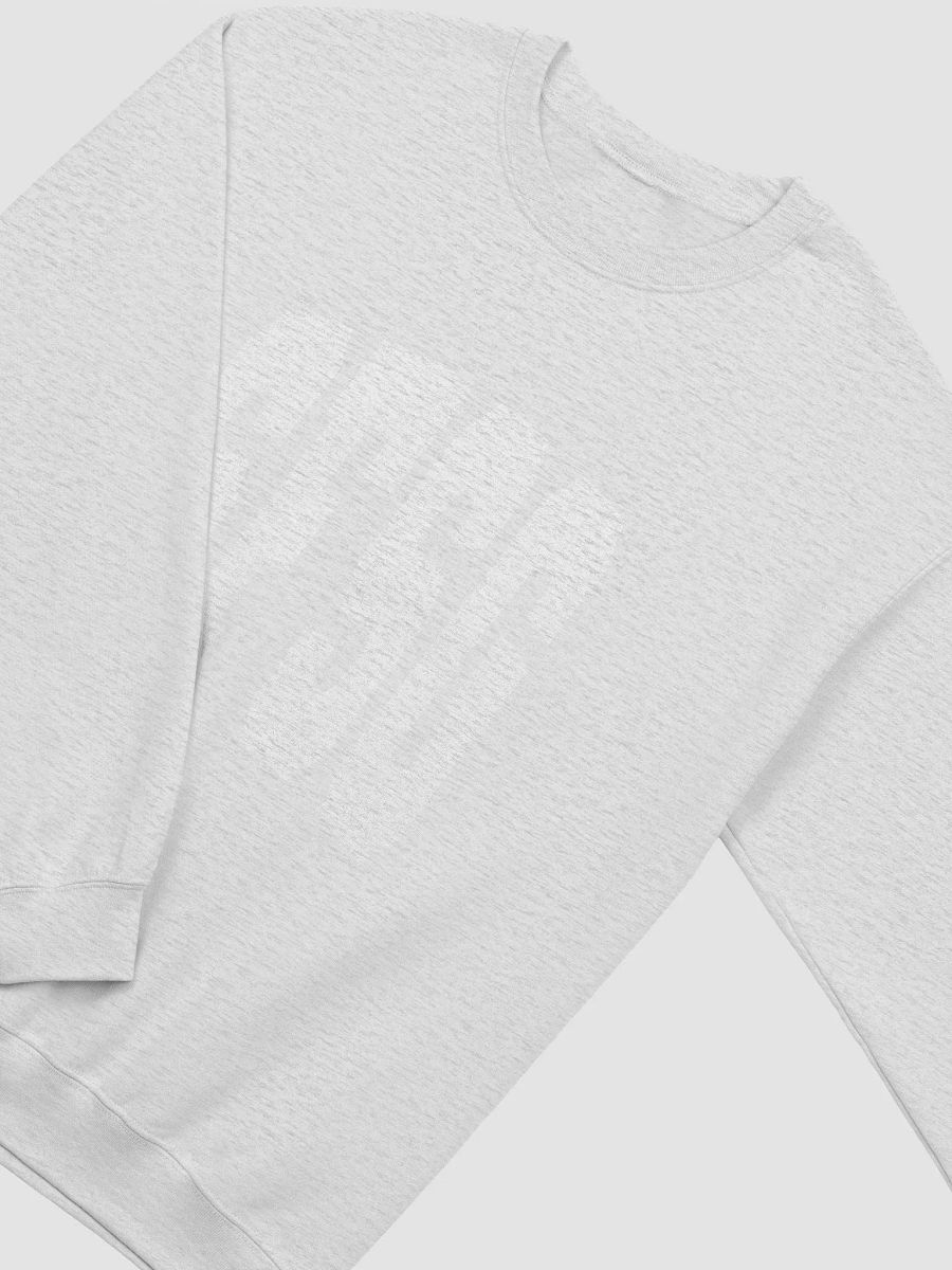 SFSG Sweatshirt product image (3)