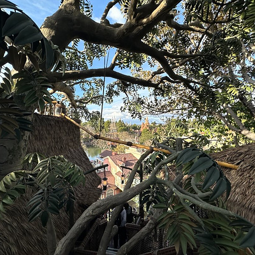 Greetings from the Adventureland treehouse!
