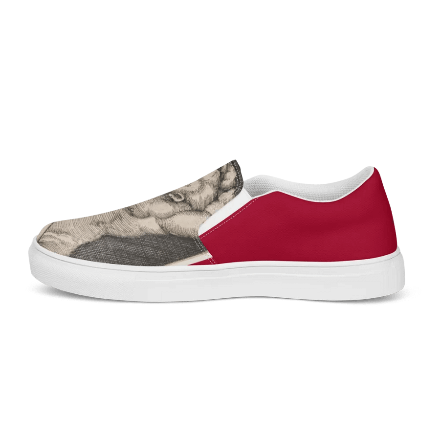 Iconic Men's Slip on Shoes 010 product image (10)