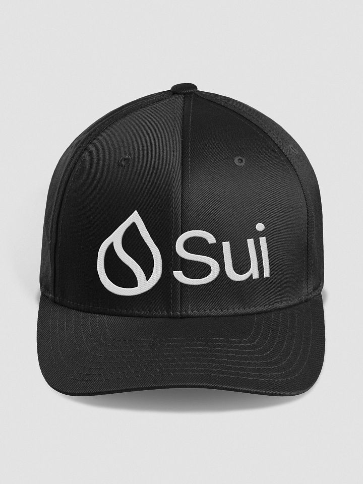 Flexfit Structured Fitted Cap/Sui product image (2)