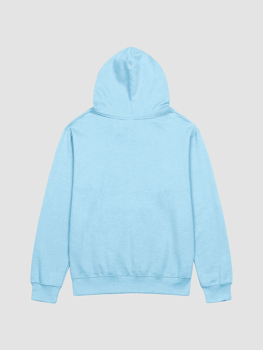 Pastel RBQ Heavyweight Hoodie (S-2XL) product image (5)