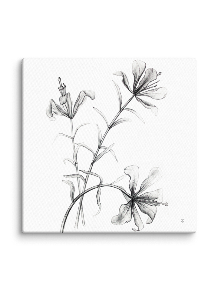 Blossom Canvas Collection - Wild Elegant Flowers product image (2)