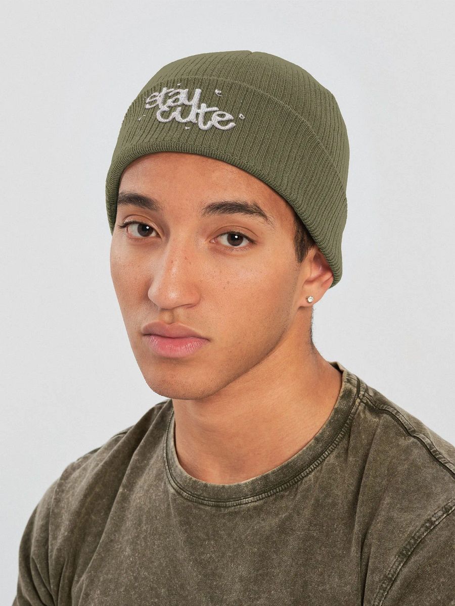 ˗ˏˋ ꒰ stay cute beechfield ribbed beanie ꒱ ˎˊ˗ product image (10)